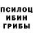Галлюциногенные грибы MAGIC MUSHROOMS Shershan Ritm
