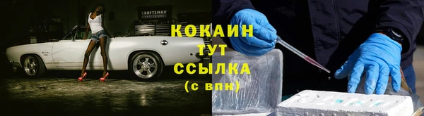 эйфоретик Осинники