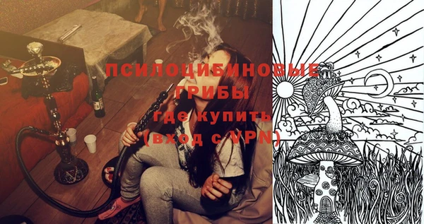 эйфоретик Осинники