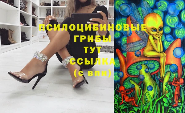 гашик Остров