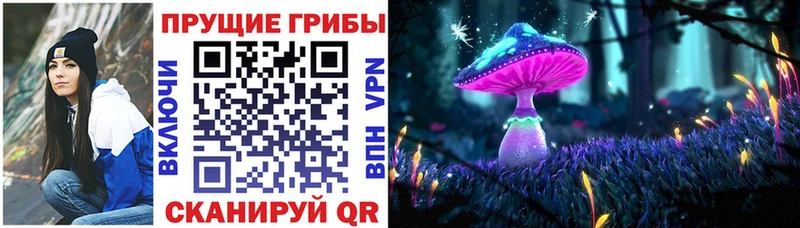 Галлюциногенные грибы Cubensis  даркнет сайт  Фурманов 